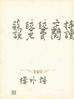 苏皎皎宋持的小说免费阅读