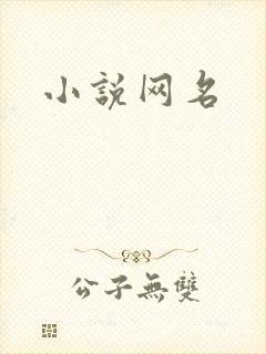 小说网名