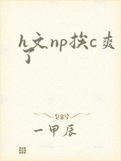 h文np挨c爽了