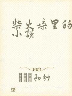 柴火垛里的疯狂小说