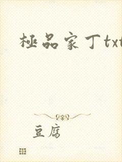 极品家丁txt