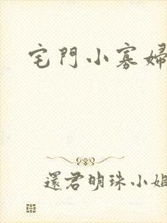 宅门小寡妇