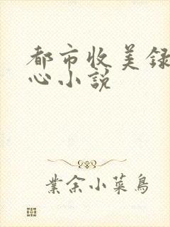 都市收美录宁素心小说