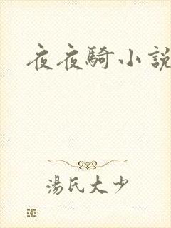 夜夜骑小说封面