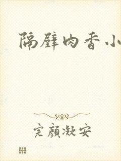 隔壁肉香小说