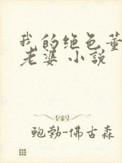 我的绝色董事长老婆 小说