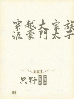 穿越大家族之风流豪门太子爷