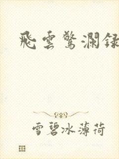 飞云惊澜录