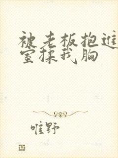 被老板抱进办公室揉我胸