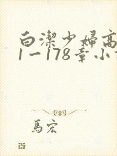 白洁少妇高义第1一178章小说