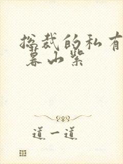 总裁的私有宝贝 暮山紫