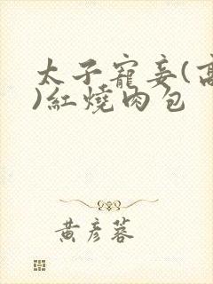 太子宠妾(高肉)红烧肉包
