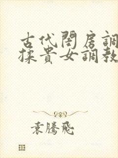 《古代闺房调教h揉贵女调教记》小说封面