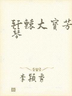 轩辕大宝芳菲雅琴