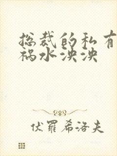 总裁的私有宝贝祸水泱泱