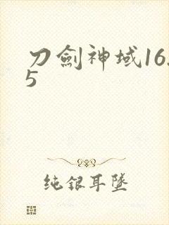 刀剑神域16.5