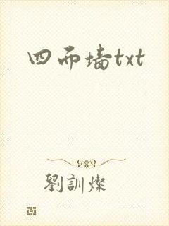 四面墙txt