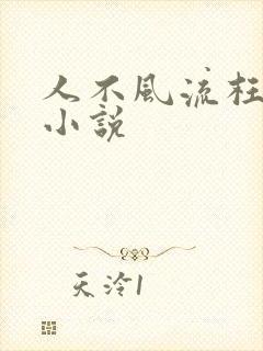 人不风流枉少年小说
