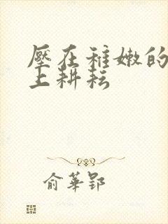 《压在稚嫩的身体上耕耘》小说封面