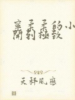 宁柔柔的小泬撑开到极致