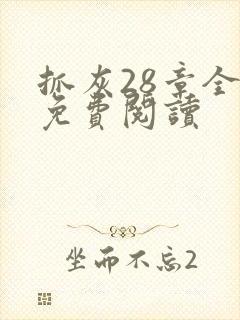 抓灰28章全部免费阅读