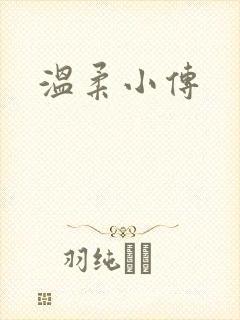 温柔小传