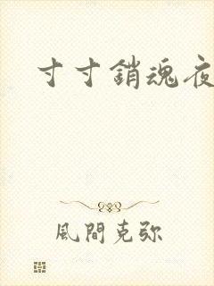 寸寸销魂夜春光