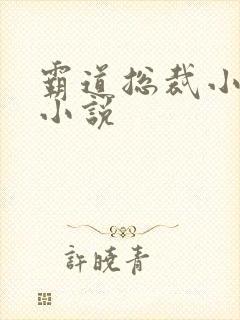 霸道总裁小娇妻小说