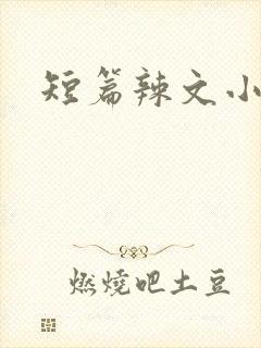 短篇辣文小说