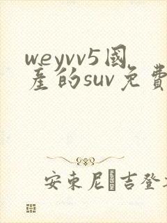 weyvv5国产的suv免费