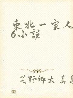 东北一家人1一6小说