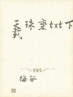 天珠变txt下载
