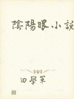 阴阳眼小说