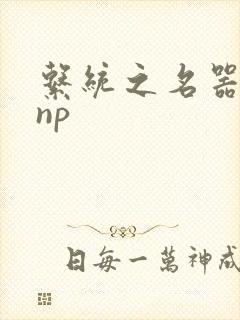 系统之名器攻略np