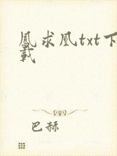 凤求凰txt下载