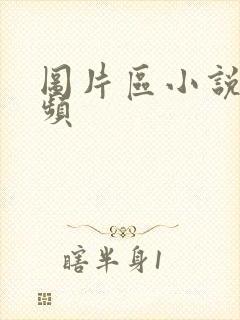 图片区小说区视频