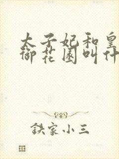 太子妃和皇帝在御花园叫什么小说