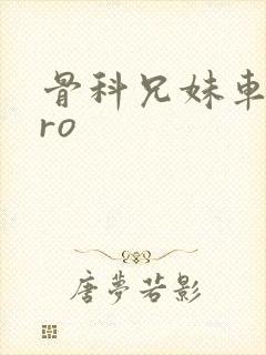 骨科兄妹车多pro