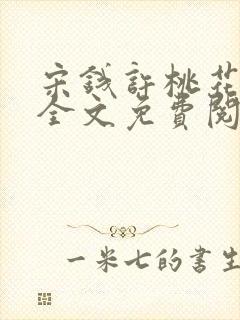 宋钱许桃花小说全文免费阅读