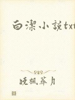 白洁小说txt