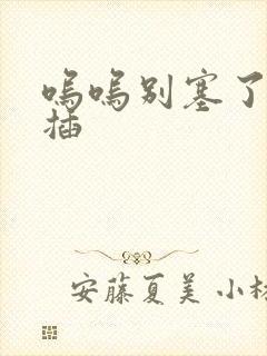 呜呜别塞了啊抽插