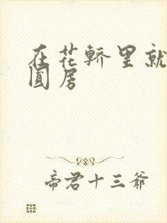 在花轿里就开始圆房