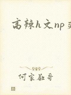 高辣h文np爽