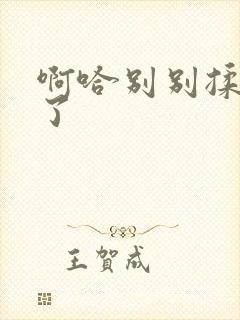 啊哈别别揉那处了