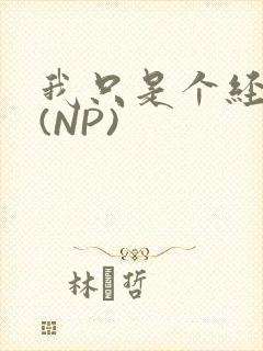 我只是个经纪人(NP)