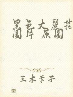 黑色大丽花真实图片 原图