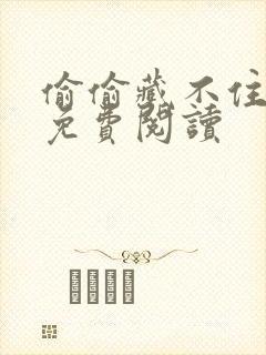 偷偷藏不住小说免费阅读