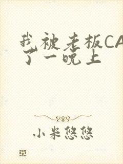 我被老板CAO了一晚上