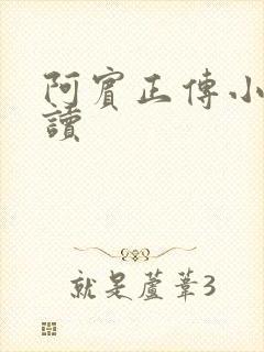 阿宾正传小说在读封面