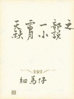 天雷一部之春花秋月小说